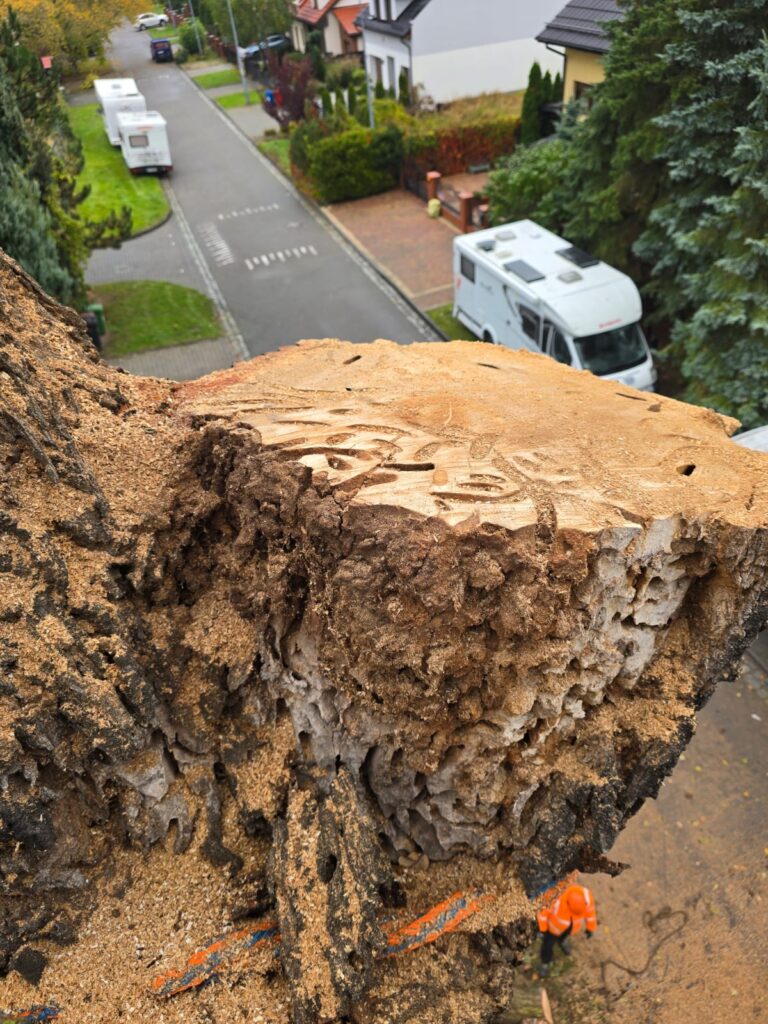 5cd41f27-cced-44df-a76e-d1c34943ca3d