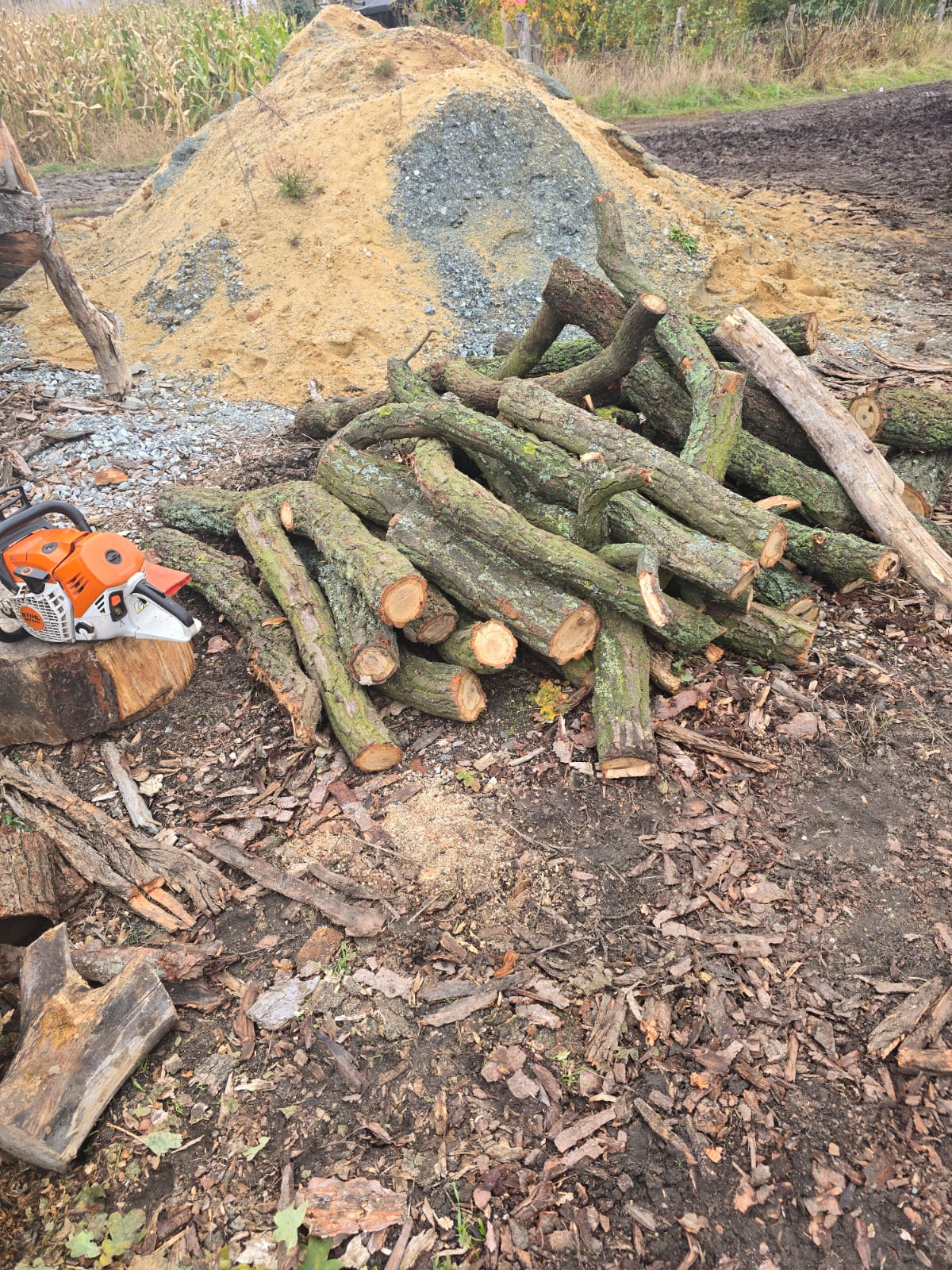 6f5ac228-3465-4a2d-9b85-6afaeaa35919