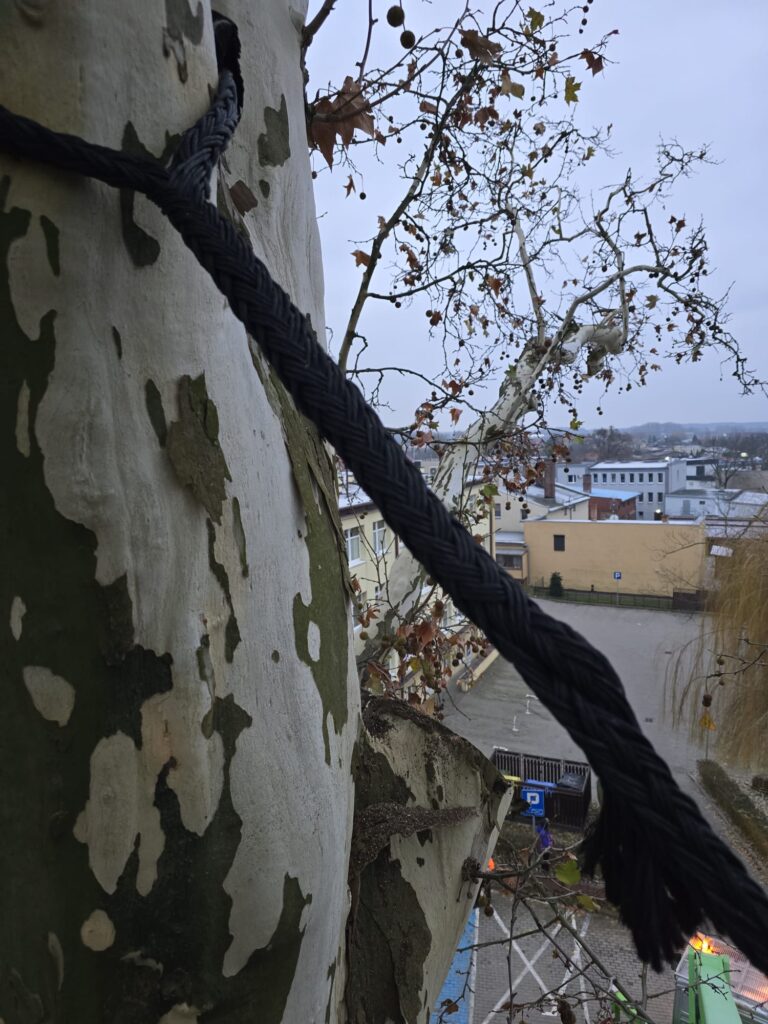 713e413e-e9a7-467d-82fa-e566f6bdba49