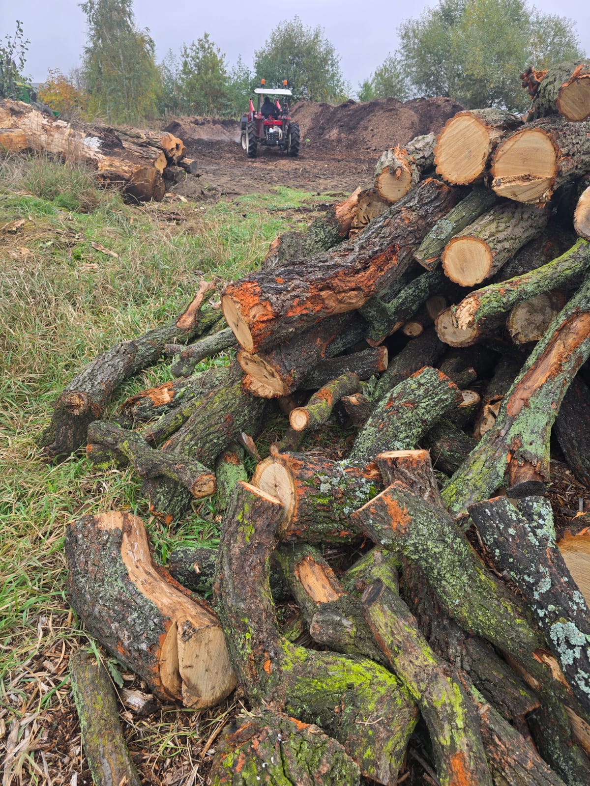 7dcc9f92-ce6e-42fb-bf85-c1a63cd8ba47