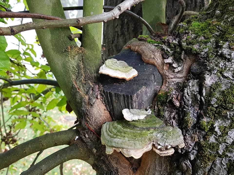 927568d8-b87f-484f-a64b-6d3eded29b29