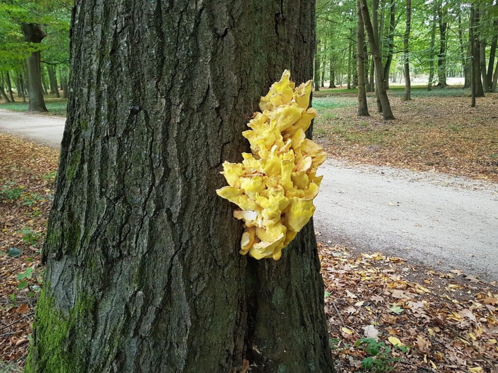 PHOTO-2025-11-24-10-01-37