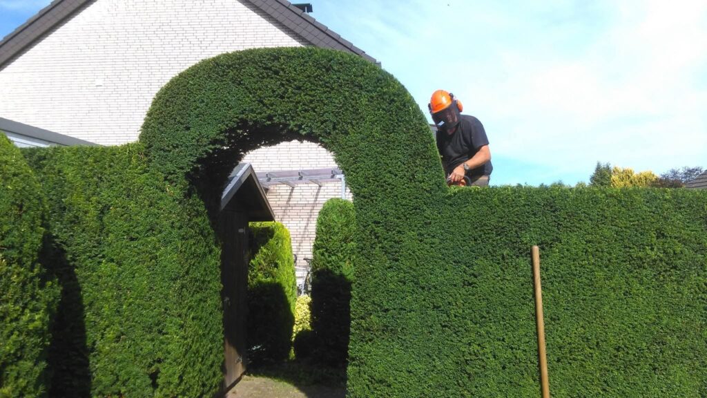 PHOTO-2025-11-24-10-15-11 2