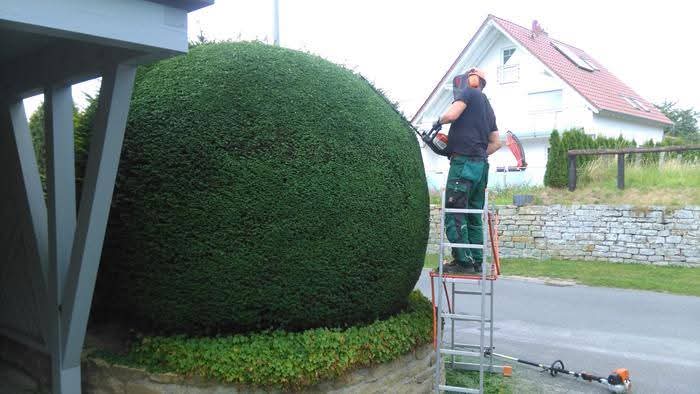 PHOTO-2025-11-24-10-15-11