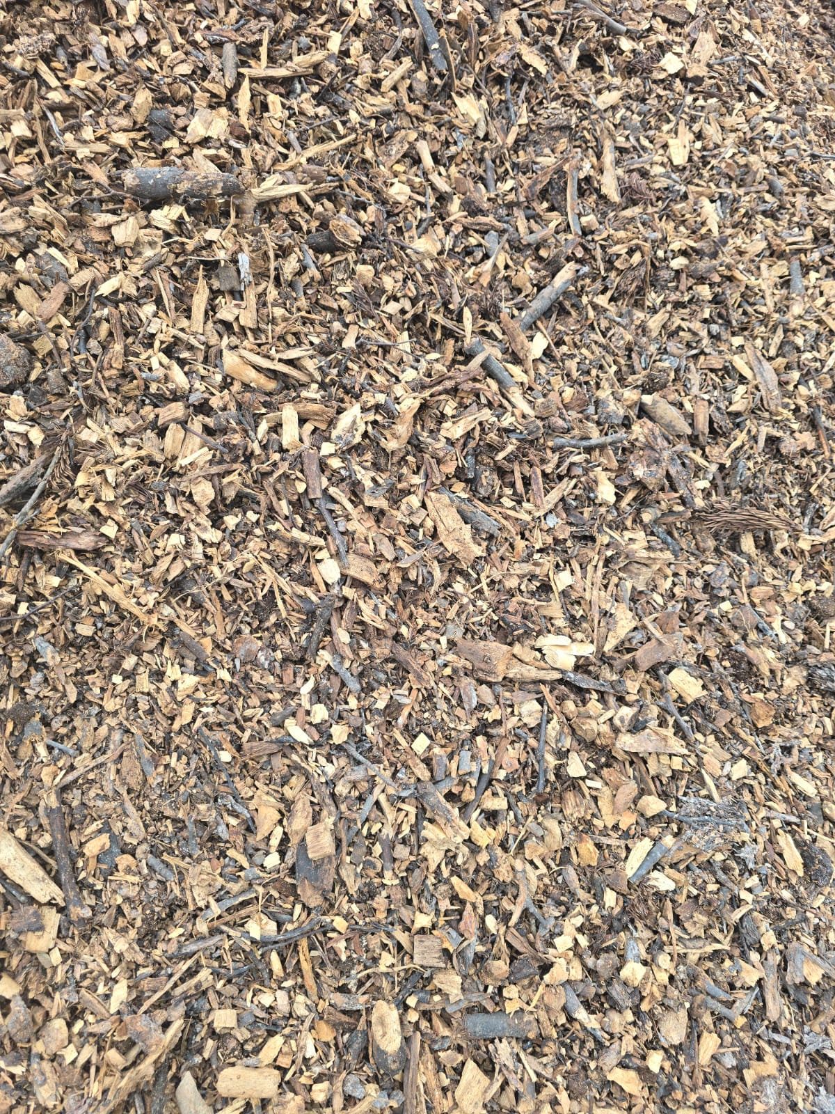 c84824b1-6d0a-4558-852b-55f36c84b6fb