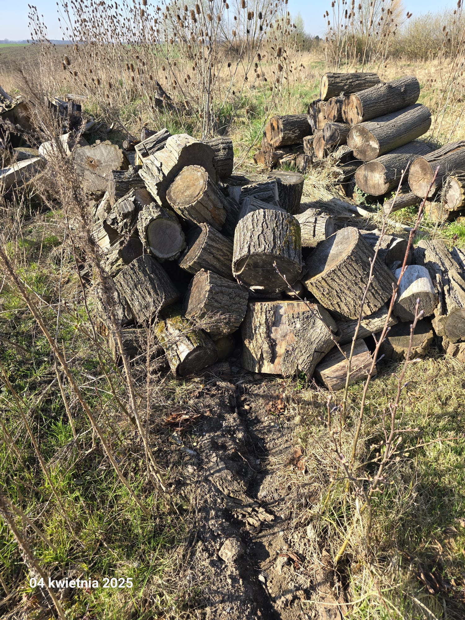 d595c212-9d42-410d-8aac-d9160c4c0bf8