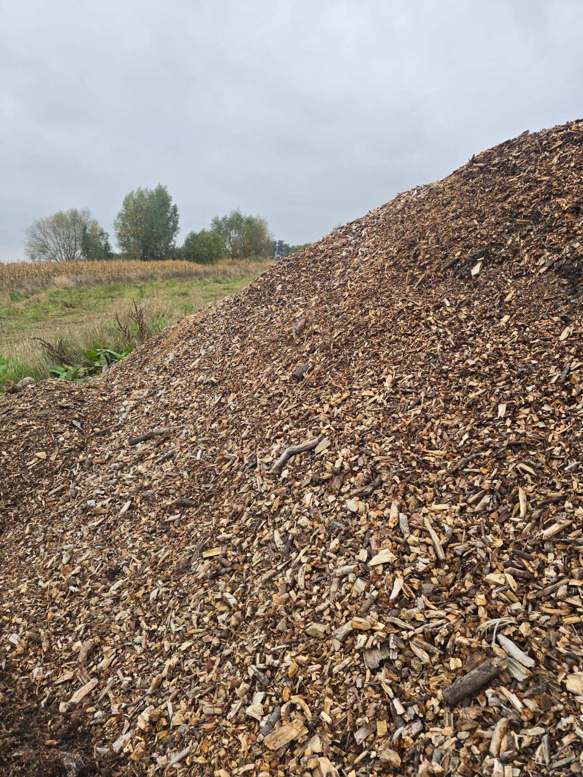 de4fd93d-8f19-4449-bccc-a483a4f497ba