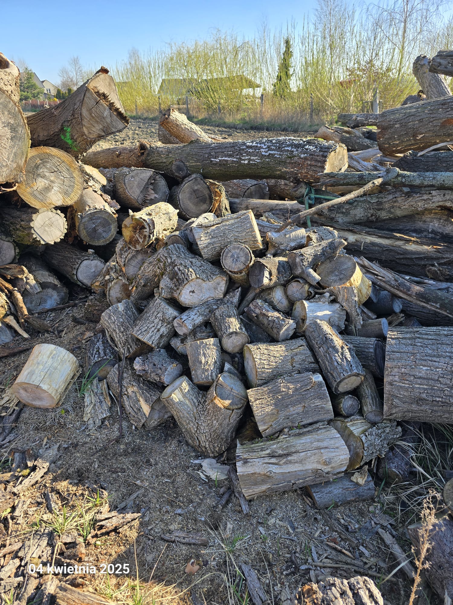 f3b07010-8f08-40f1-81af-f4441079c52c